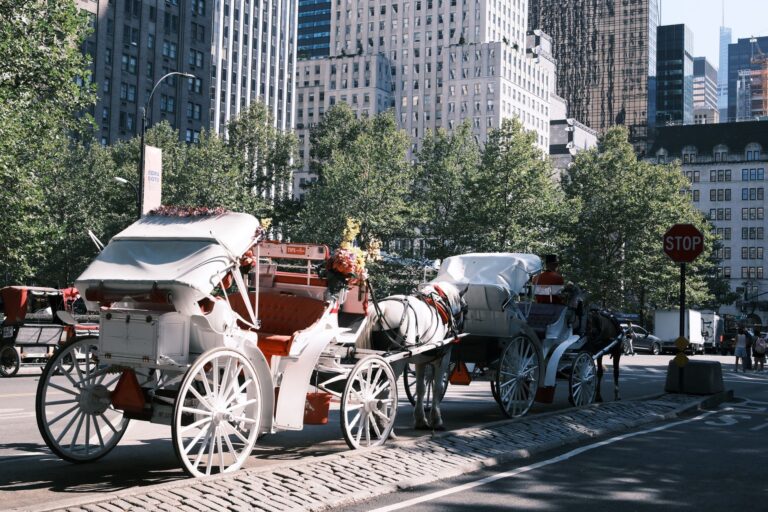 horse carriages New York City