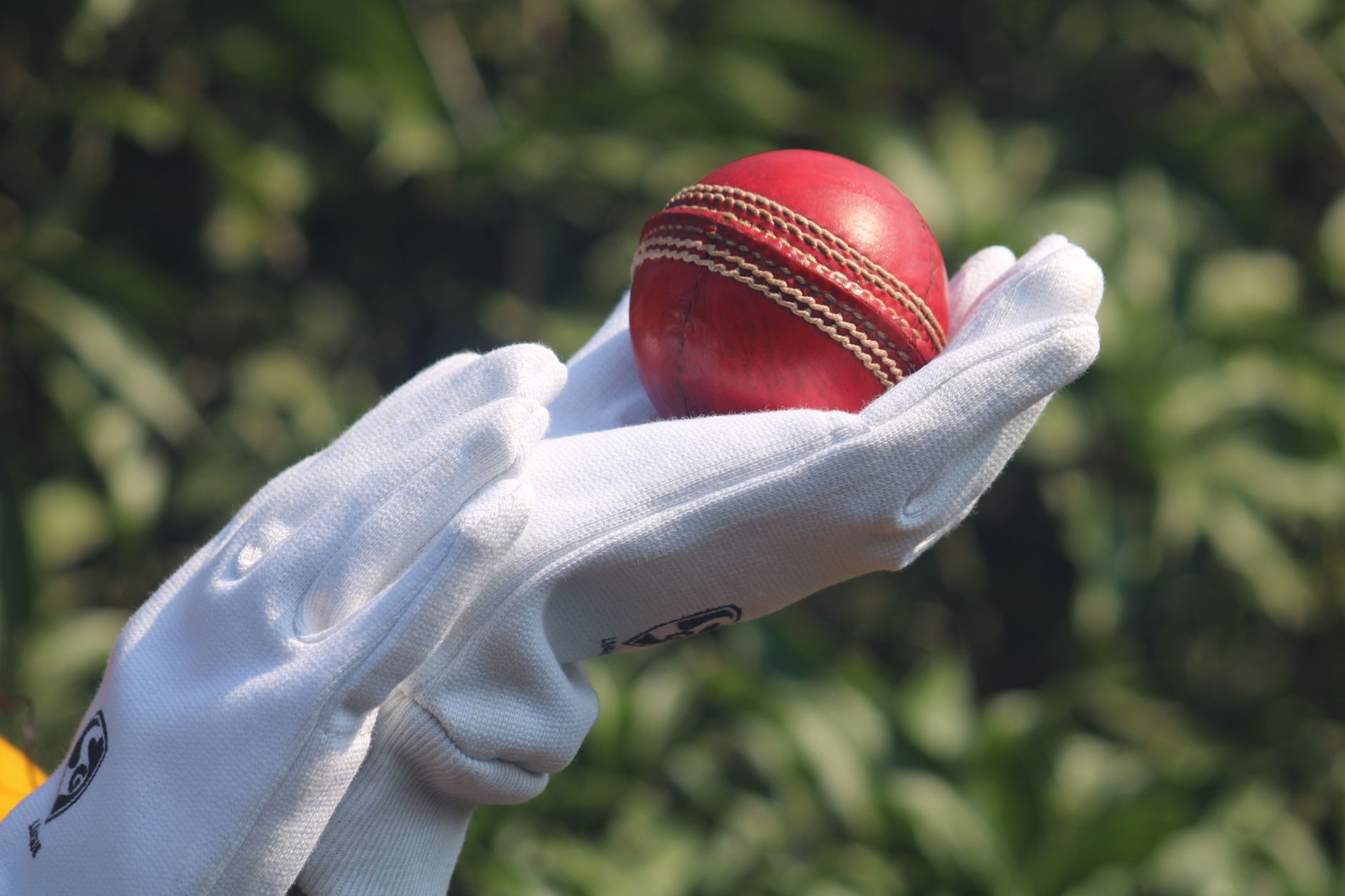 India Test stars performance